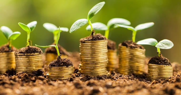 Microfinance Support